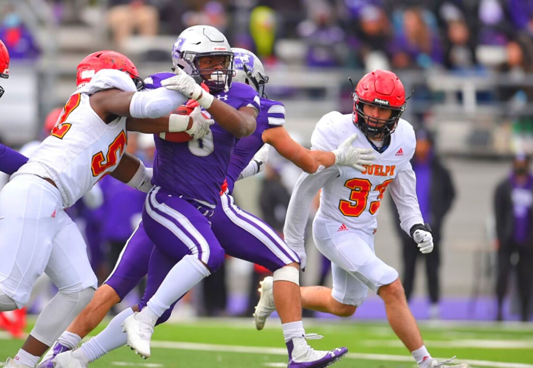 Western football guelph